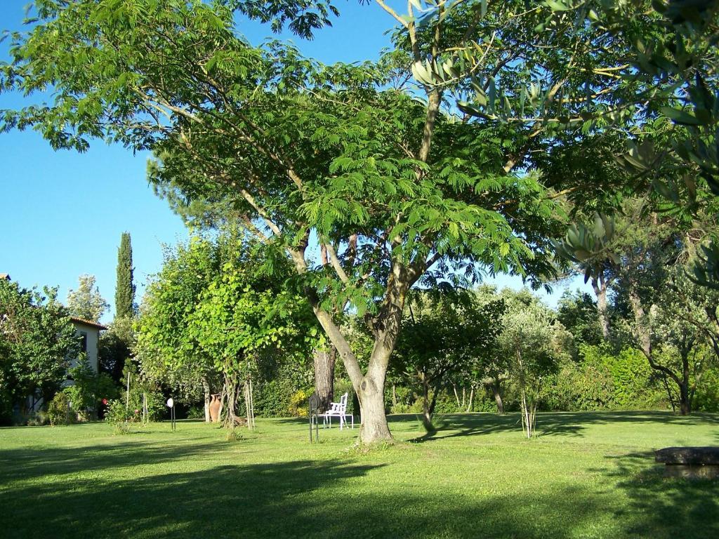 Ortali Country House Quarata Extérieur photo